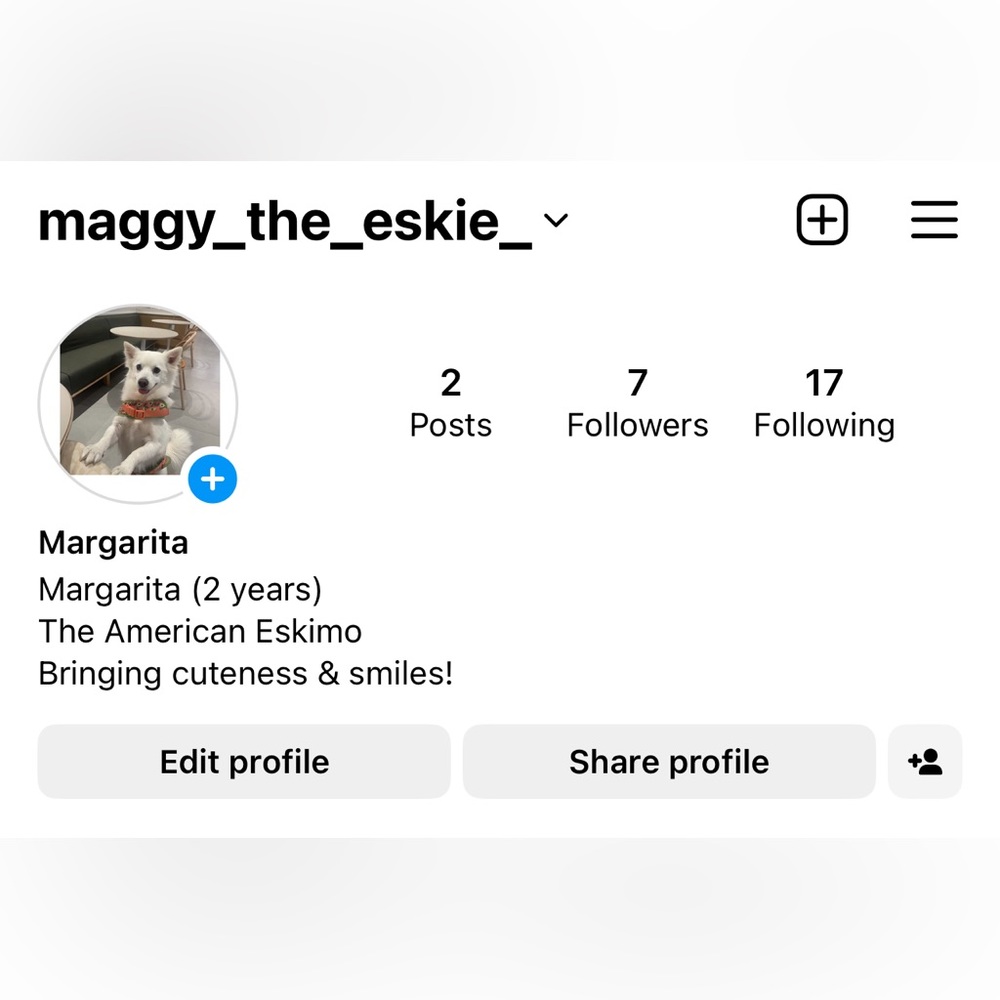 Follow my dog Maggie on insta please! For funny and cute videos🐶
